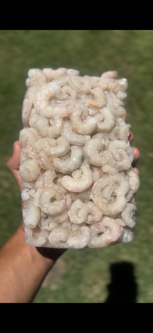 Maloca Pescados
