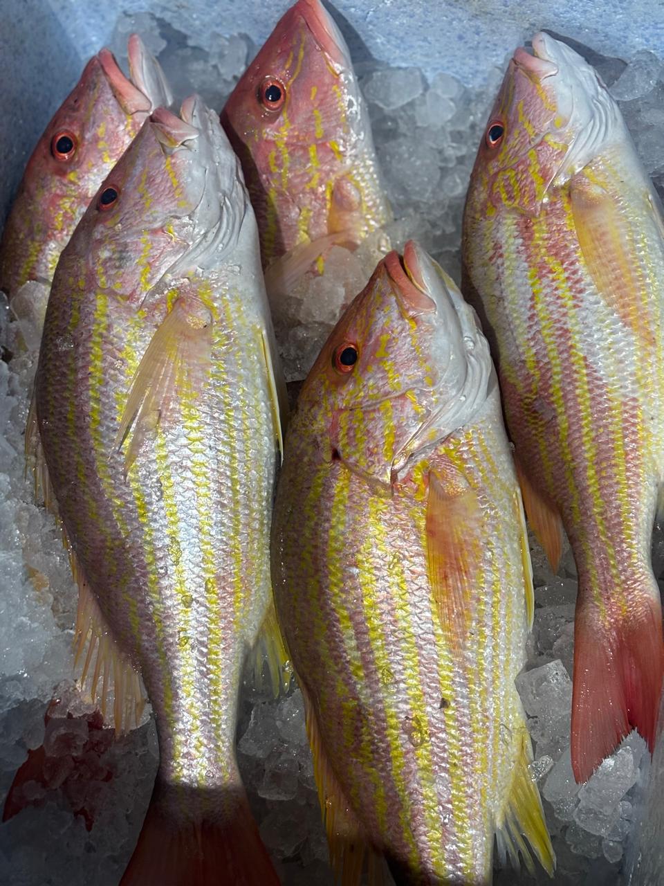 Maloca Pescados