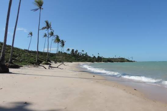Praia do Moreira